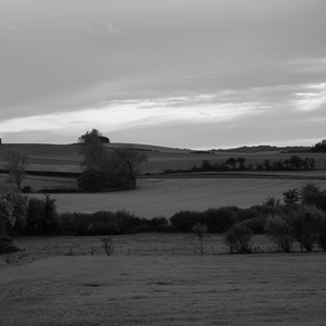 Paysage de prairies limitées par des haies d'arbustes en noir et blanc - France  - collection de photos clin d'oeil, catégorie paysages